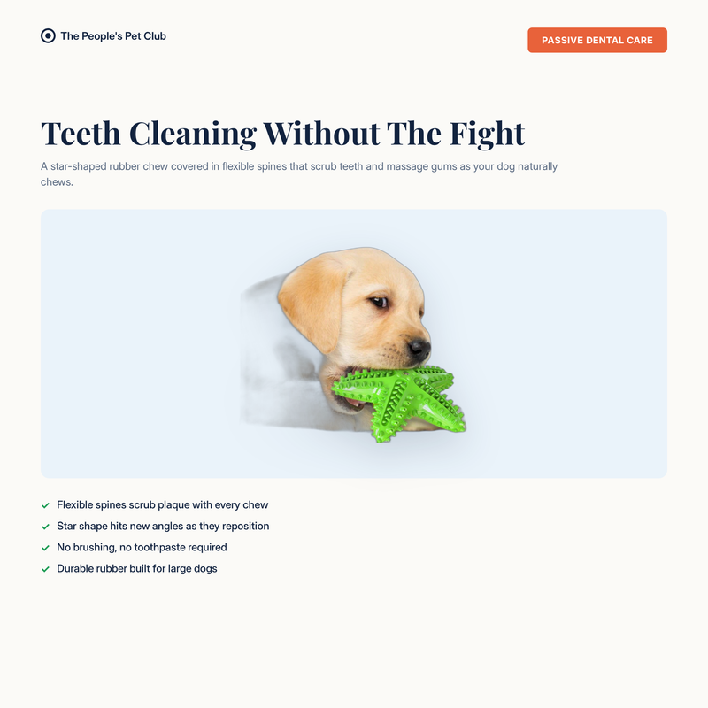 Dog Toothbrush Chew Toy - teeth cleaning without the fight