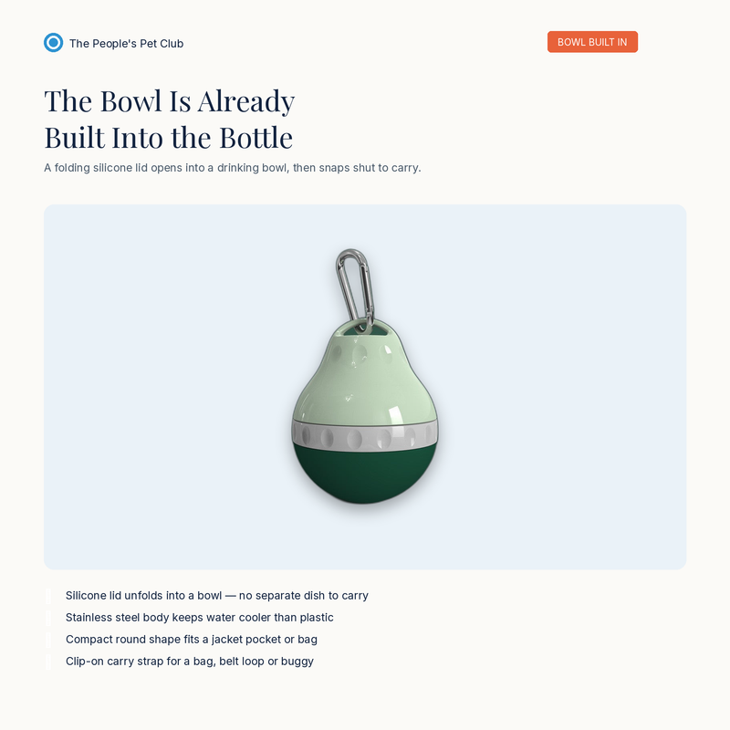 Water bottle with built-in bowl hero