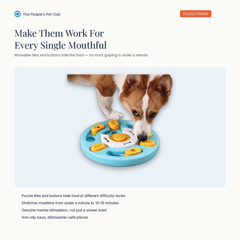 Pet slow feeder bowl hero