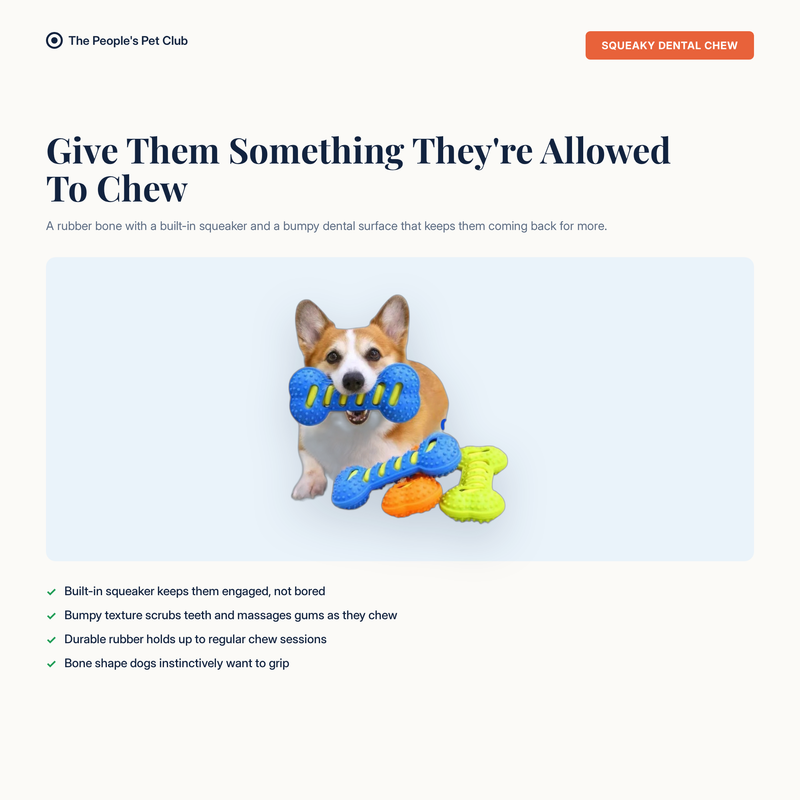 Dog Squeaky Bone Chew Toy - benefit overview