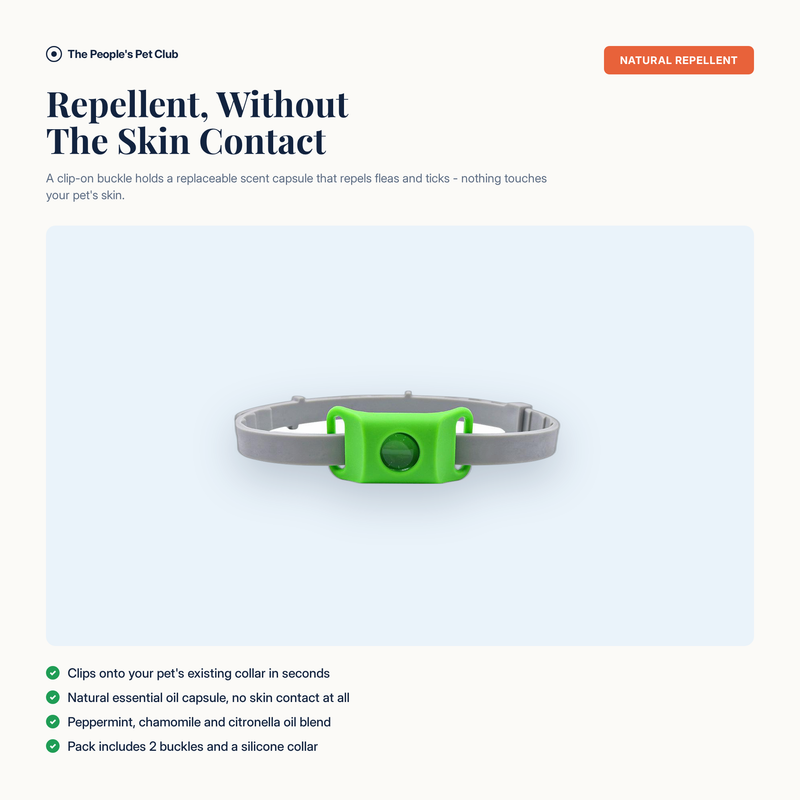 Natural Flea and Tick Repellent - hero