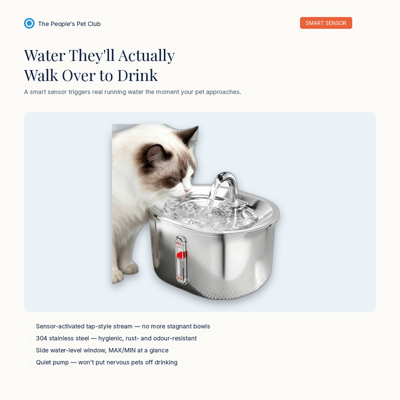 Automatic Pet Water Fountain - smart sensor hero