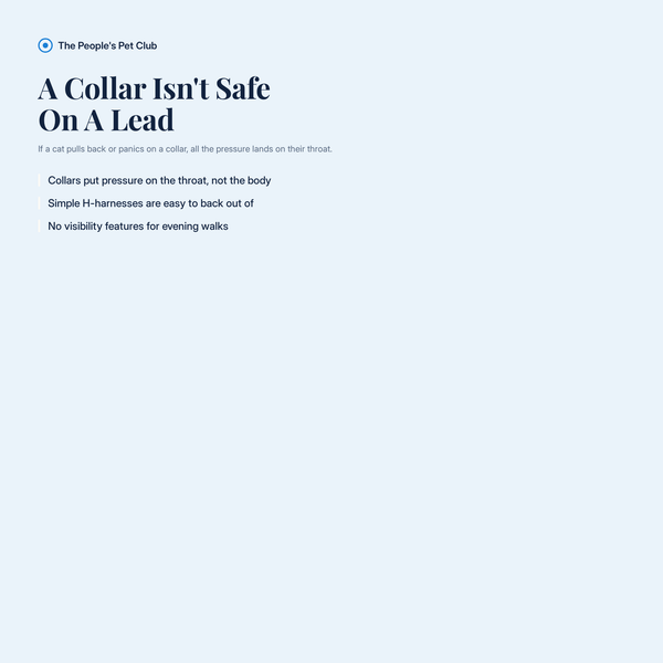 The problem with a collar on a lead