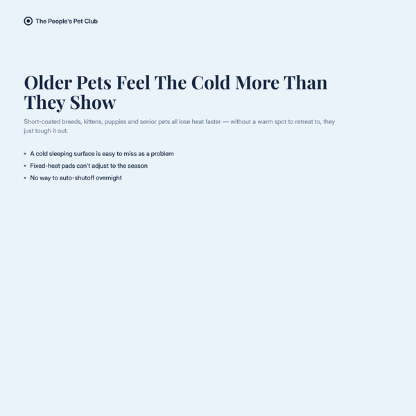 Older pets feel the cold more than they show