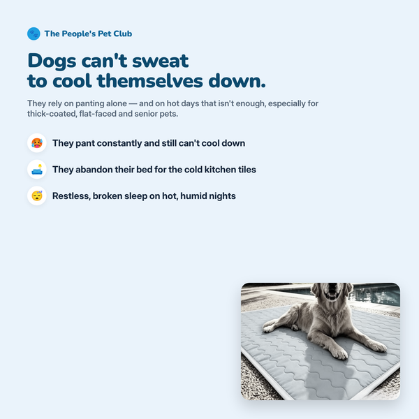 Premium Pet Cooling Mat | Breathable Comfort for Dogs & Cats