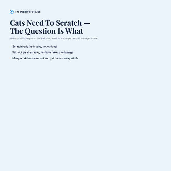Cats need to scratch - the question is what