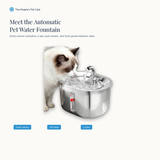 Meet the Automatic Pet Water Fountain