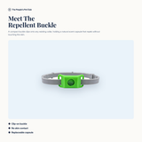 Natural Flea and Tick Repellent - meet