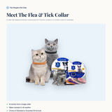 Meet the flea and tick collar