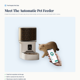 Meet the automatic pet feeder
