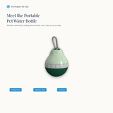 Meet the portable pet water bottle