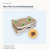 Meet the cat scratching board