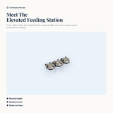 Elevated Pet Bowl Feeding Station - meet