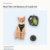 Meet the cat harness and leash set