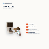 How to use the automatic pet feeder