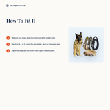 How to fit the tactical collar