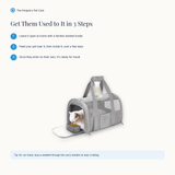 How to get pets comfortable