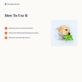How to use the Toothbrush Chew Toy