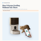 How it keeps feeding without you there