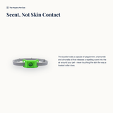 Natural Flea and Tick Repellent - mechanism