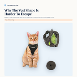 Why the vest shape is harder to escape