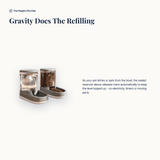 Gravity Pet Dispenser - mechanism