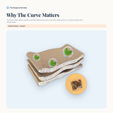 Why the curve matters