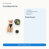 Everything you get