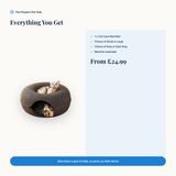 Everything you get