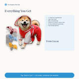 Everything you get - offer