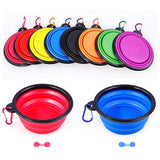 Stainless Steel Pet Bowl | 350ml Locking Colour-Frame Design