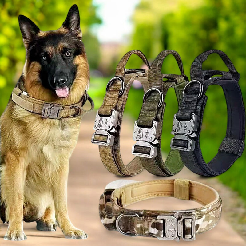 Tactical Dog Collar & Leash | Heavy-Duty Nylon | M-XL