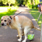 Dog Poop Bag Dispenser | Scented Bags & Hands-Free Picker