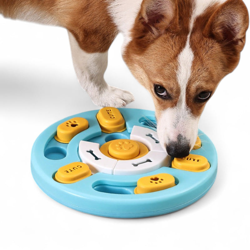 Pet Slow Feeder Bowl | Anti-Gulping Maze Bowl for Dogs & Cats