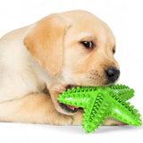 Dog Toothbrush Chew Toy | Rubber Teeth Cleaning Toy for Large Dogs