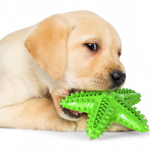 Dog Toothbrush Chew Toy | Rubber Teeth Cleaning Toy for Large Dogs