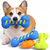 Dog Squeaky Bone Chew Toy | Durable Rubber Dental Play Set