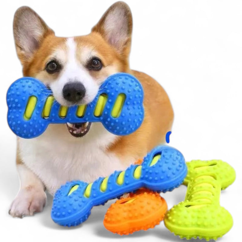 Dog Squeaky Bone Chew Toy | Durable Rubber Dental Play Set