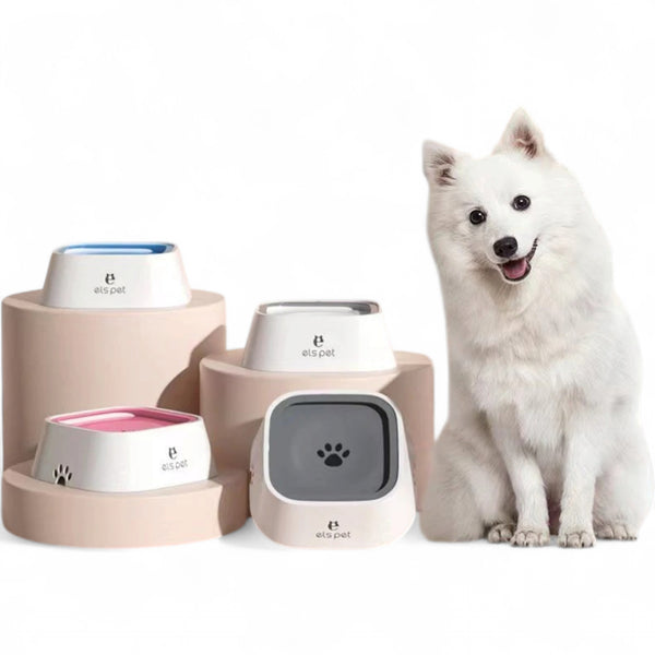 Non-Slip Pet Water & Food Bowl