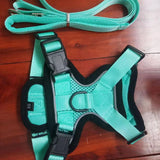 Cat Harness & Leash Set | Escape-Proof Reflective Vest