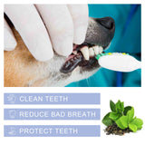 Pet Toothpaste | Natural Enzymatic Dental Paste for Dogs & Cats