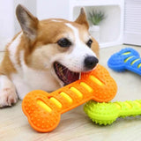 Dog Squeaky Bone Chew Toy | Durable Rubber Dental Play Set