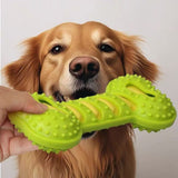 Dog Squeaky Bone Chew Toy | Durable Rubber Dental Play Set