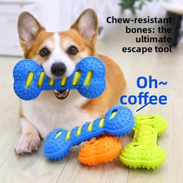 Dog Squeaky Bone Chew Toy | Durable Rubber Dental Play Set