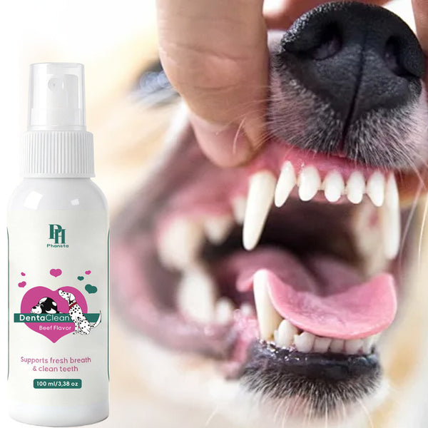 Pet Oral Care Spray | Fresh Breath Solution for Dogs & Cats