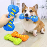 Dog Squeaky Bone Chew Toy | Durable Rubber Dental Play Set