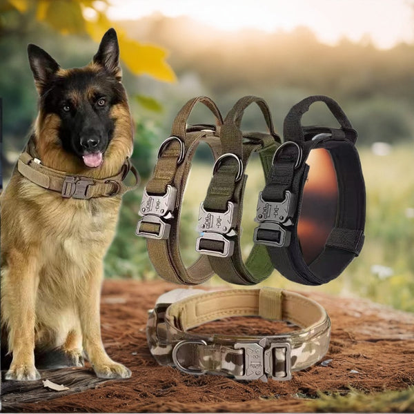 Tactical Dog Collar & Leash | Heavy-Duty Nylon | M-XL
