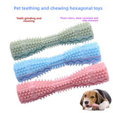 Dog Dental Chew Stick | TPR Rubber Teeth Cleaning Toy for Dogs
