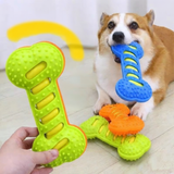 Dog Squeaky Bone Chew Toy | Durable Rubber Dental Play Set