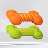 Dog Squeaky Bone Chew Toy | Durable Rubber Dental Play Set
